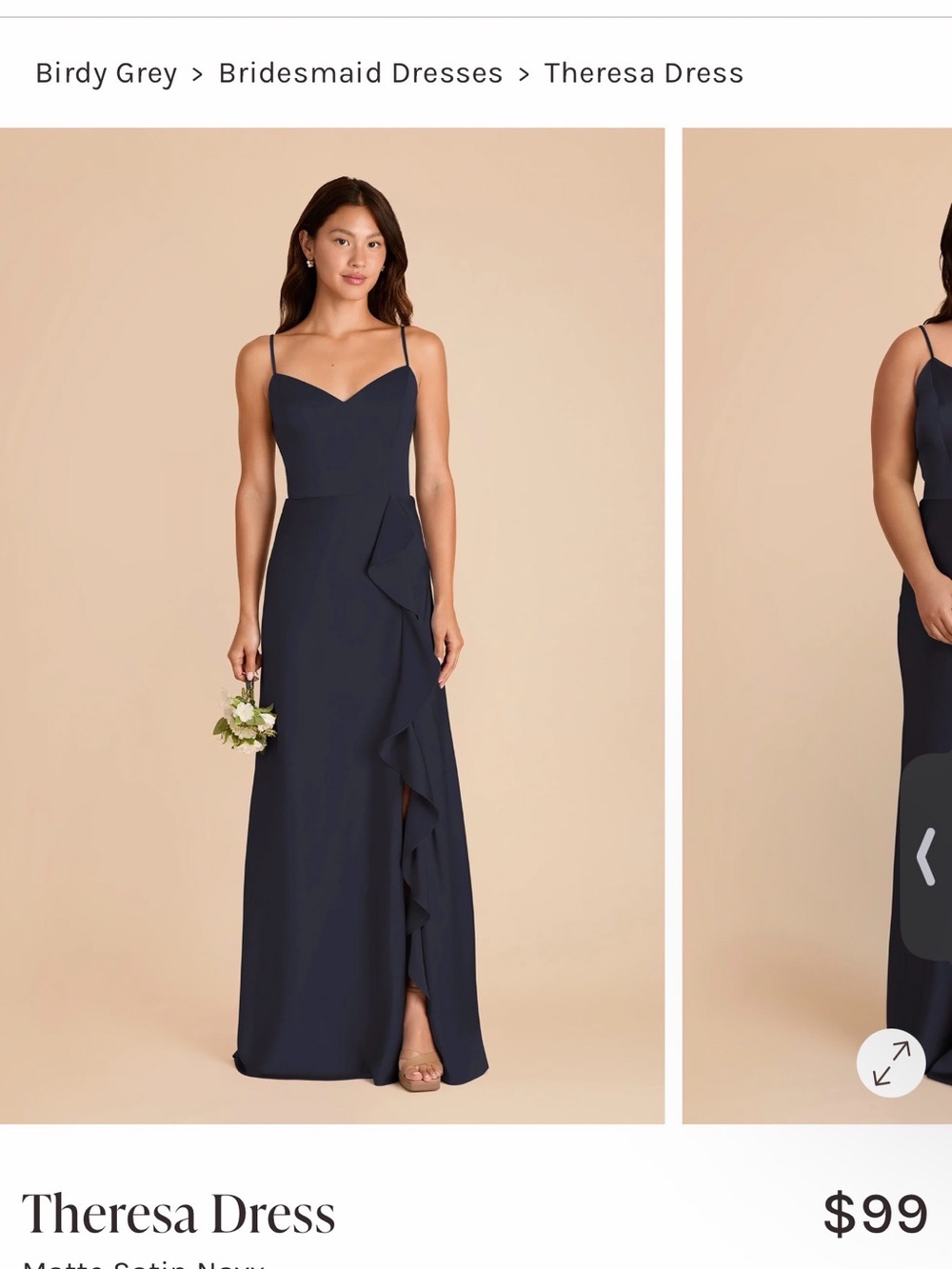 Birdy Grey Theresa Maxi Dress in Navy